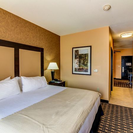 Holiday Inn Arlington Northeast By Ihg Buitenkant foto